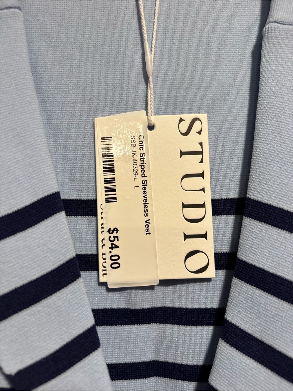 Studio Light Blue Sleeveless Striped Blazer Vest with Navy Accents - Picture 2 of 4